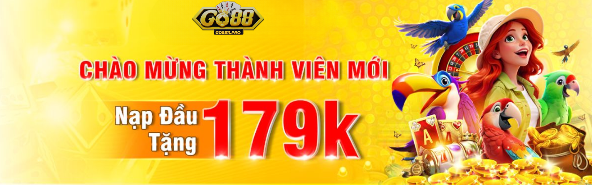 Banner www.hd9371.com